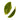 Rare Leaves Emerald - Single Estate Pi Lo Chun Green Tea August Uncommon Tea